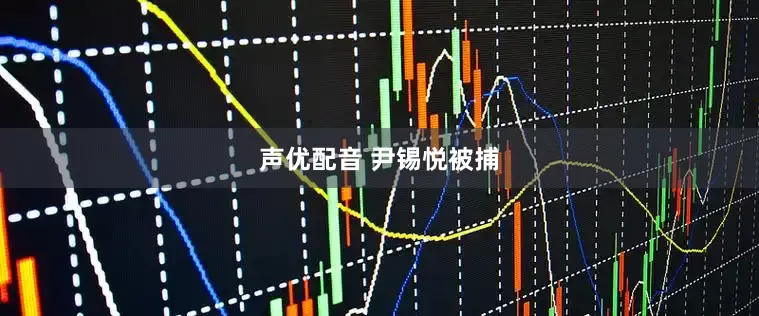 声优配音 尹锡悦被捕