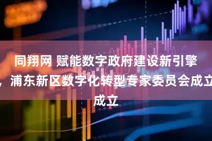 同翔网 赋能数字政府建设新引擎，浦东新区数字化转型专家委员会成立