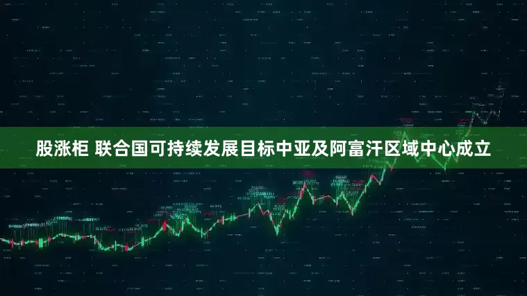 股涨柜 联合国可持续发展目标中亚及阿富汗区域中心成立