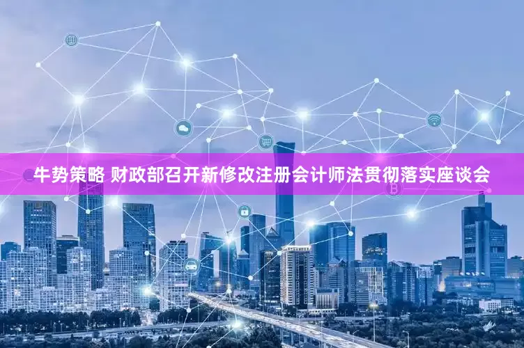 牛势策略 财政部召开新修改注册会计师法贯彻落实座谈会